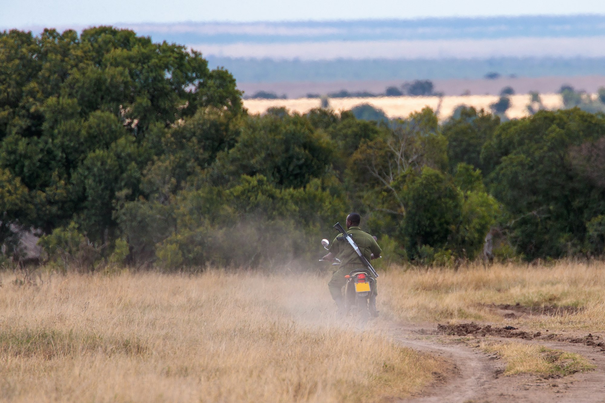 African-American ranger riding a patrol motorcycle near a tree forest in Kenya